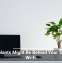 Houseplants Might Be Behind Your Sluggish Wi-Fi